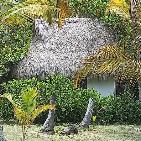 Playa Pikua Ecolodge Guachaca エクステリア 写真