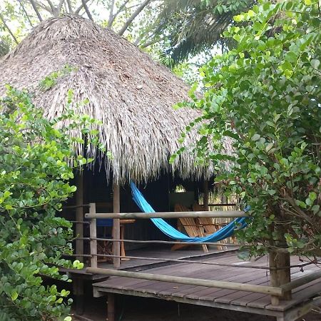 Playa Pikua Ecolodge Guachaca エクステリア 写真