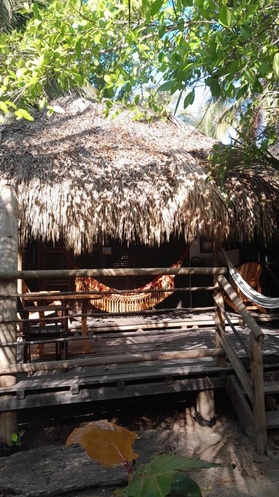 Playa Pikua Ecolodge Guachaca エクステリア 写真