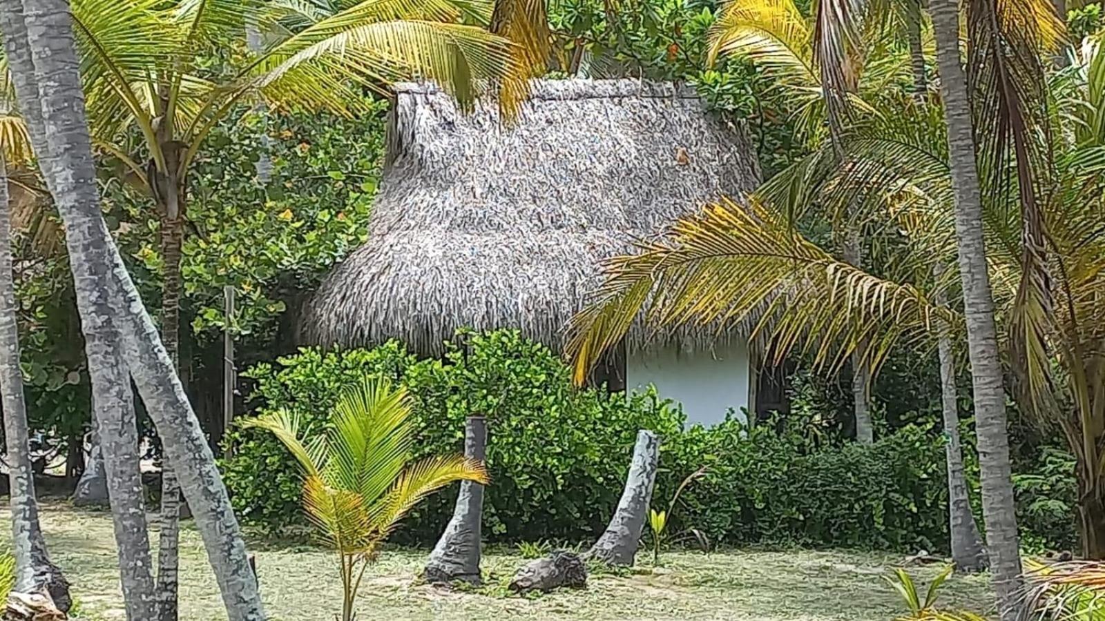 Playa Pikua Ecolodge Guachaca エクステリア 写真