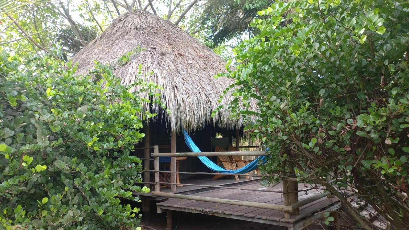 Playa Pikua Ecolodge Guachaca エクステリア 写真