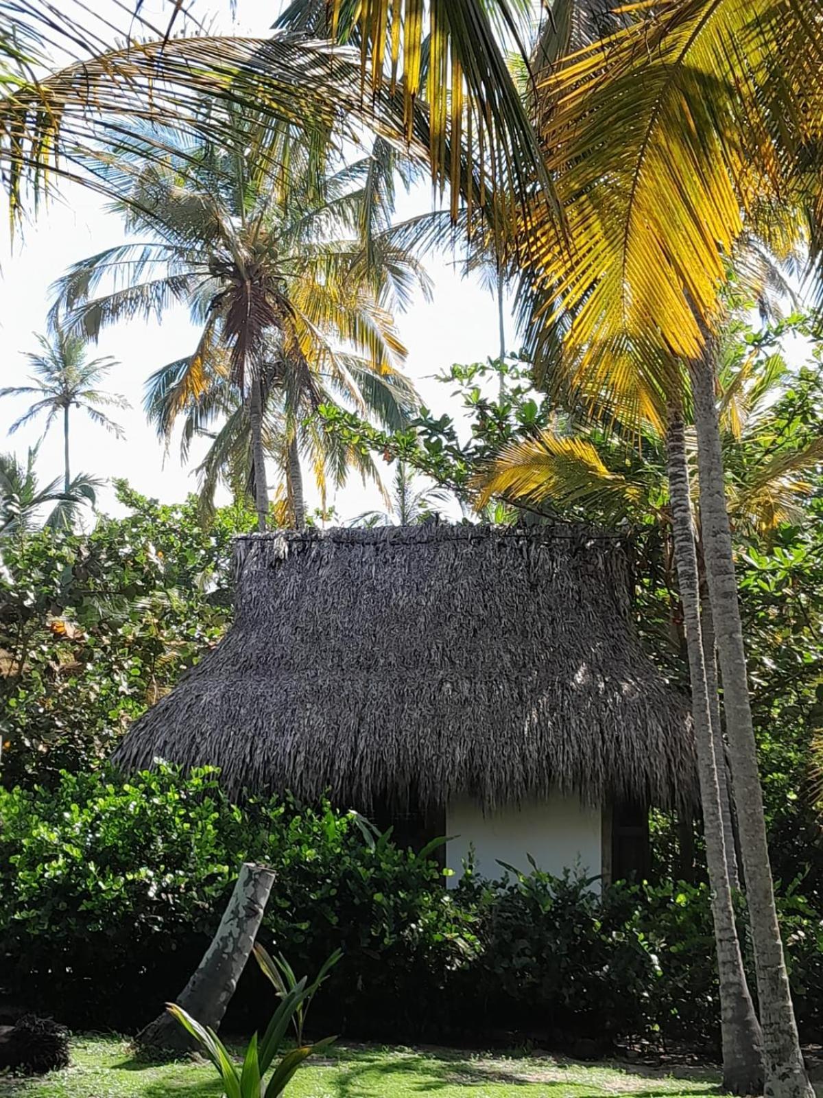 Playa Pikua Ecolodge Guachaca エクステリア 写真