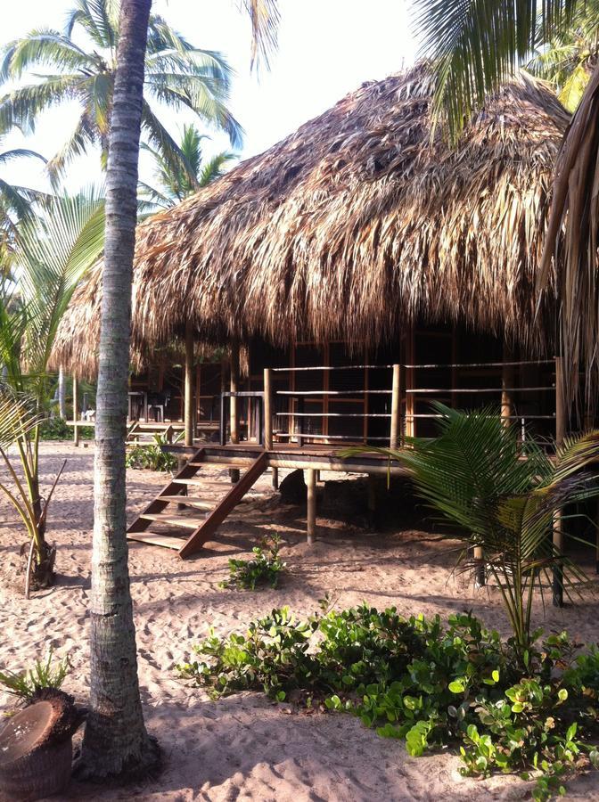 Playa Pikua Ecolodge Guachaca エクステリア 写真