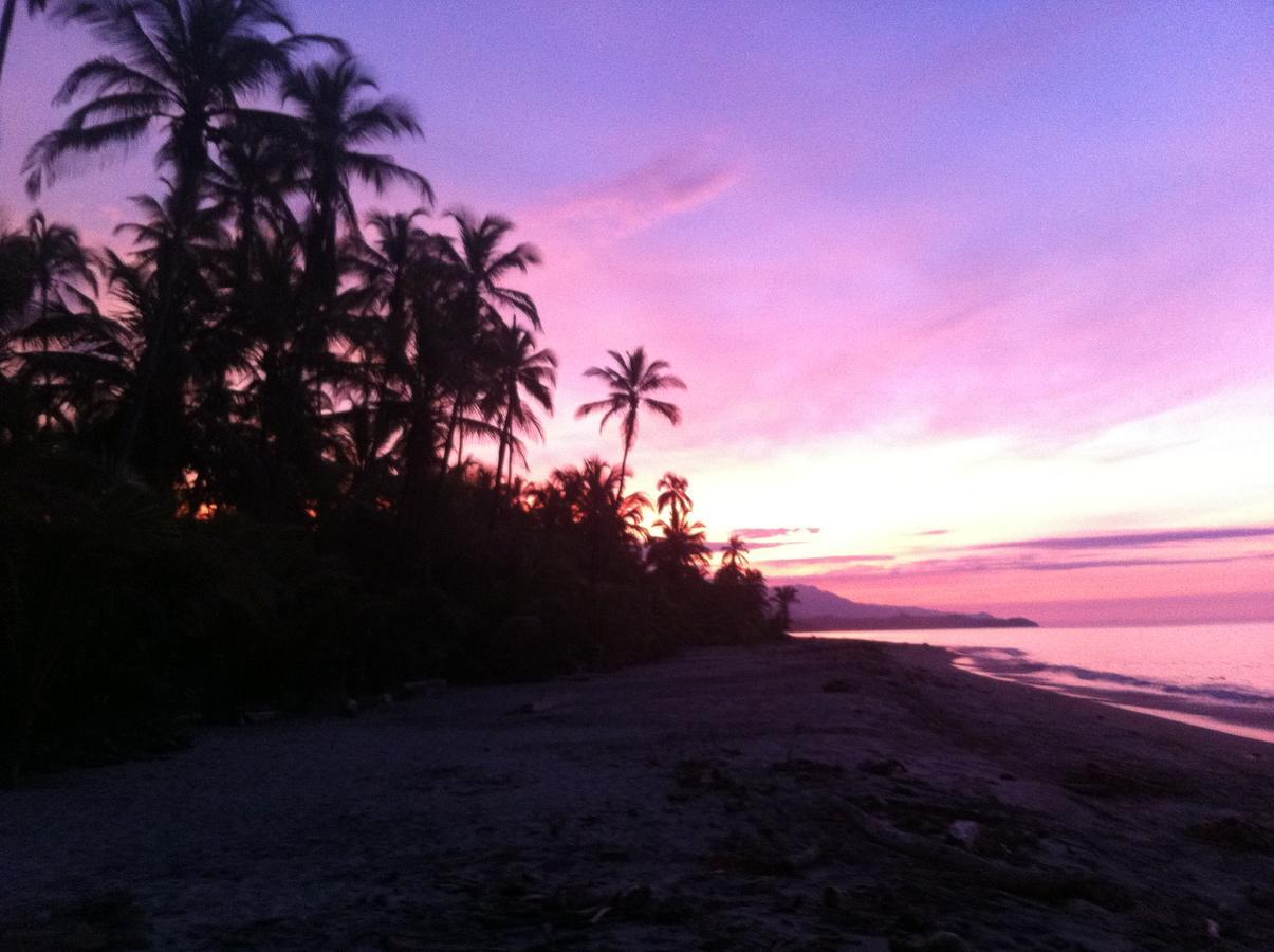 Playa Pikua Ecolodge Guachaca エクステリア 写真