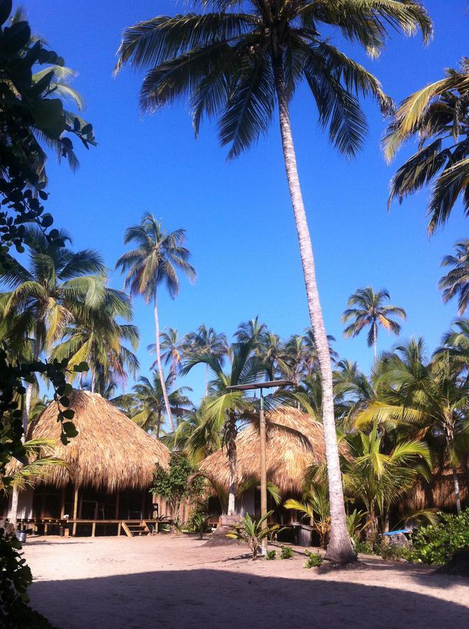 Playa Pikua Ecolodge Guachaca エクステリア 写真