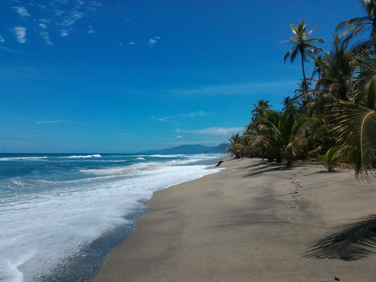 Playa Pikua Ecolodge Guachaca エクステリア 写真