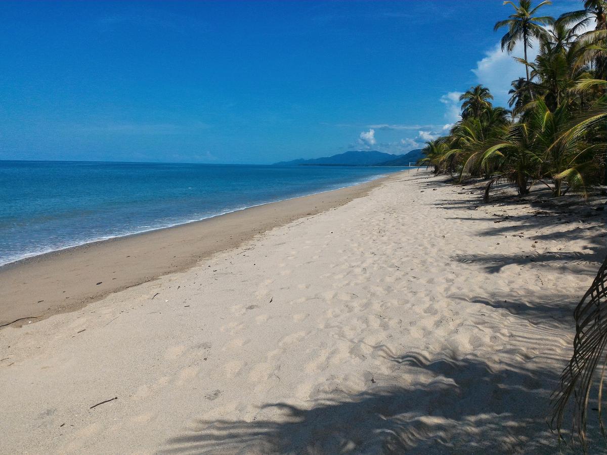 Playa Pikua Ecolodge Guachaca エクステリア 写真