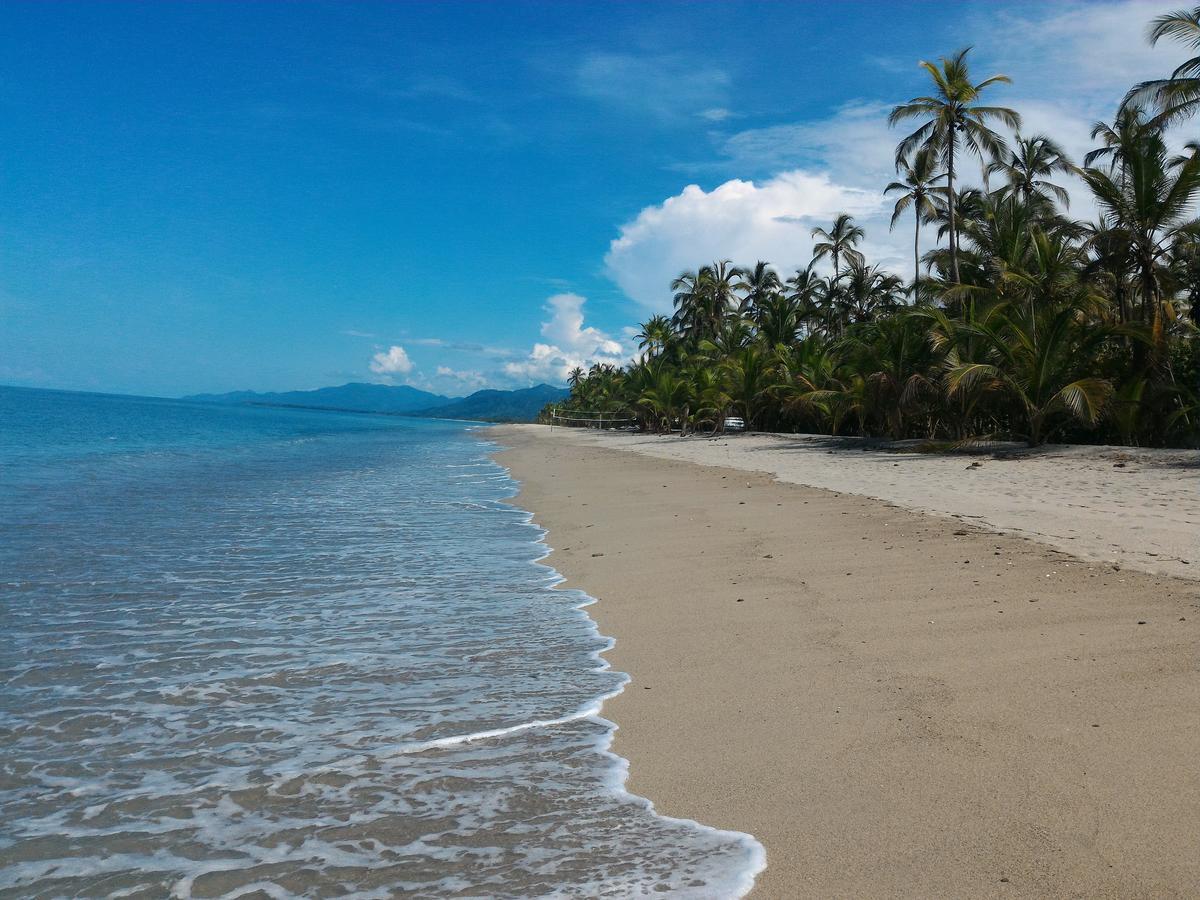 Playa Pikua Ecolodge Guachaca エクステリア 写真