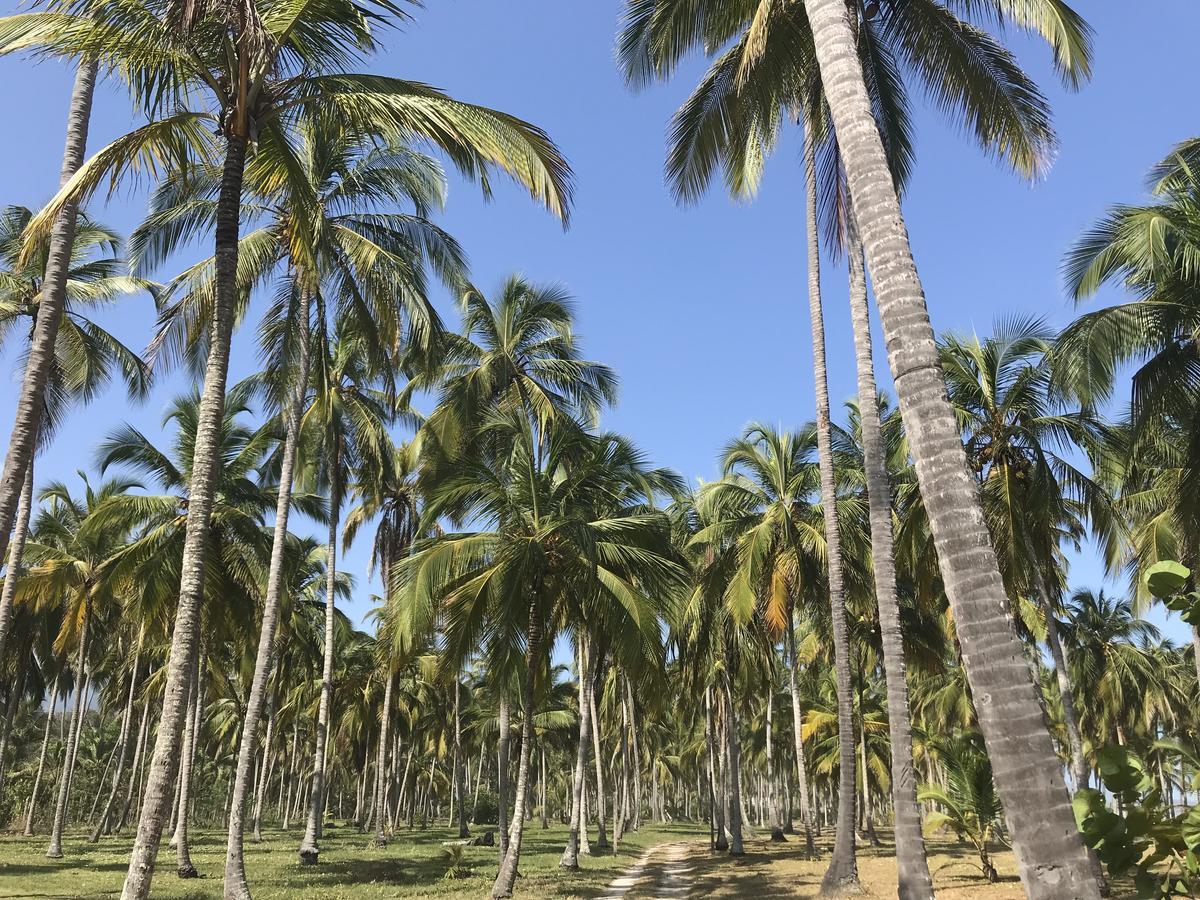 Playa Pikua Ecolodge Guachaca エクステリア 写真