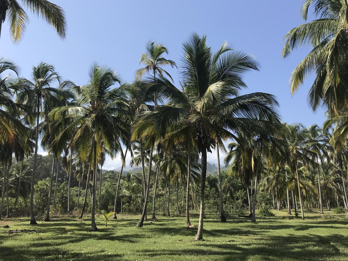 Playa Pikua Ecolodge Guachaca エクステリア 写真