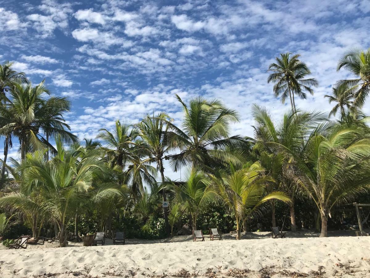 Playa Pikua Ecolodge Guachaca エクステリア 写真