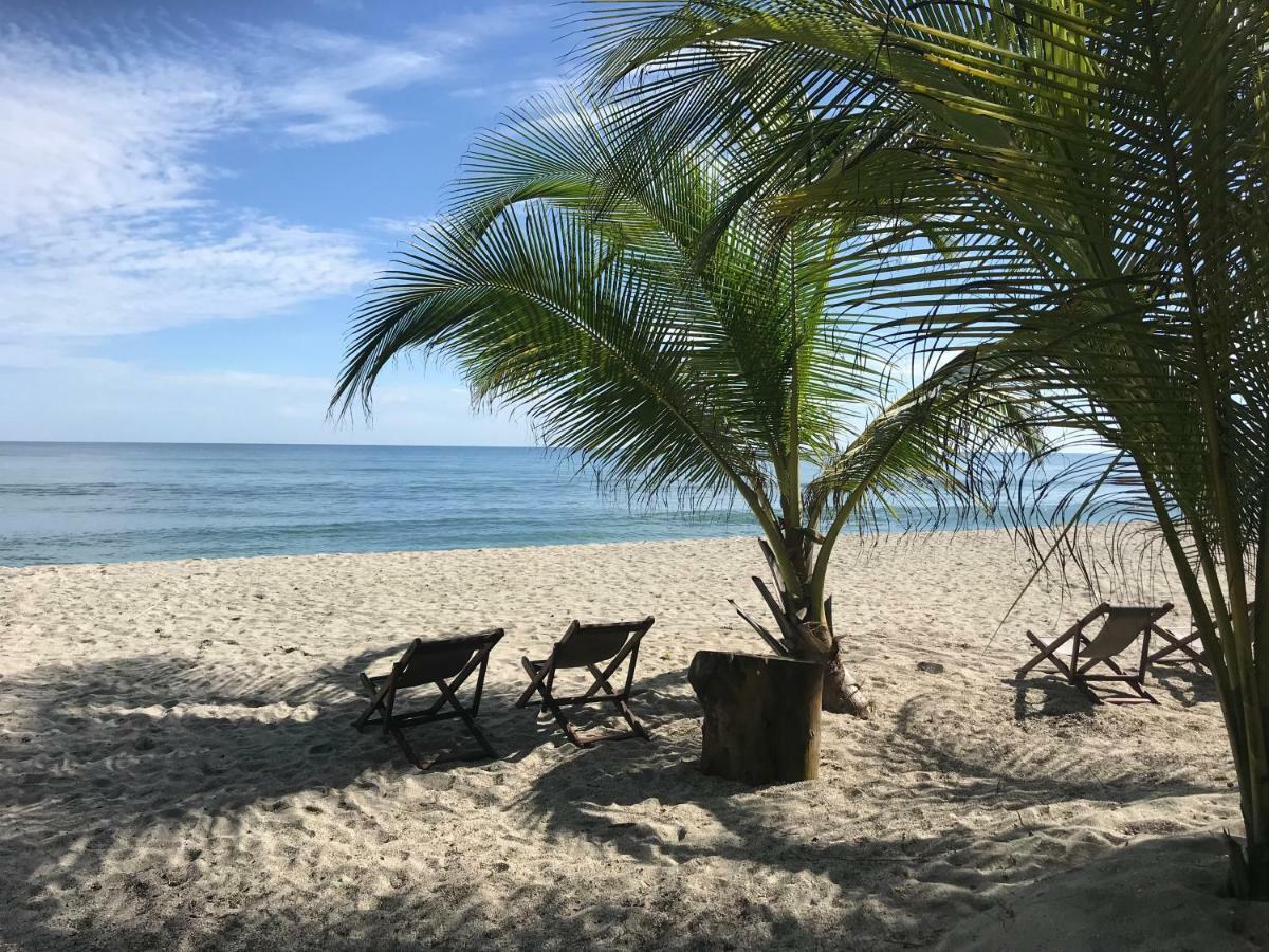 Playa Pikua Ecolodge Guachaca エクステリア 写真