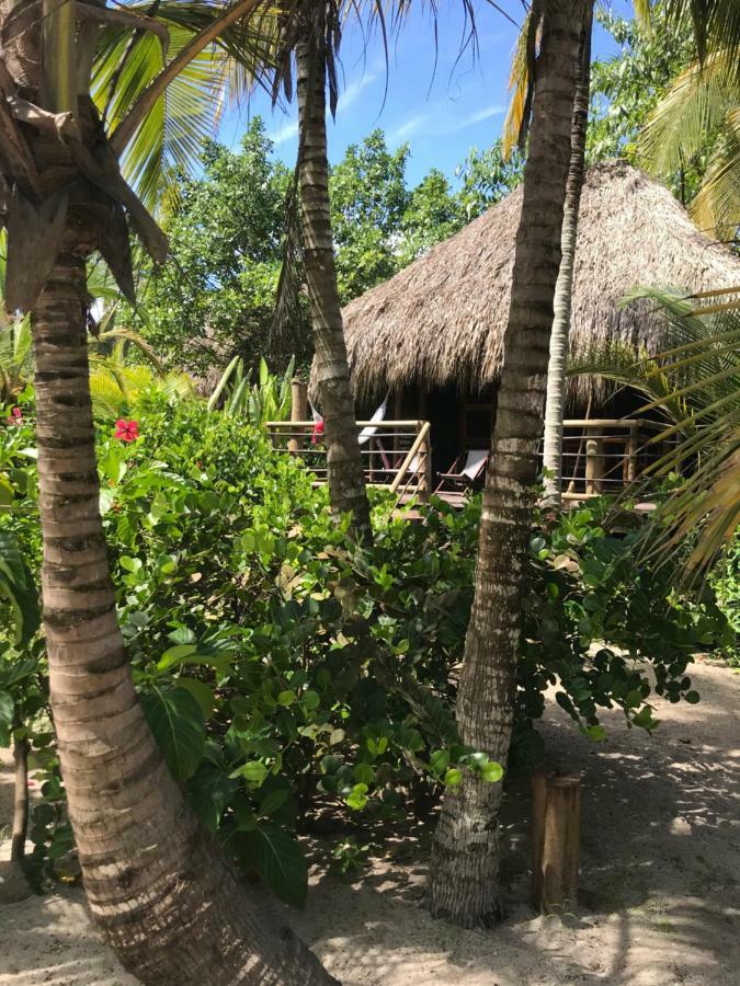 Playa Pikua Ecolodge Guachaca エクステリア 写真