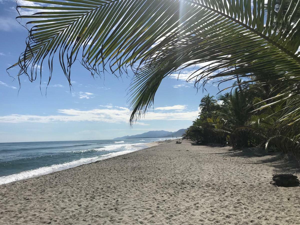 Playa Pikua Ecolodge Guachaca エクステリア 写真